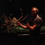 Spider crab. This thing made me want butter sauce.